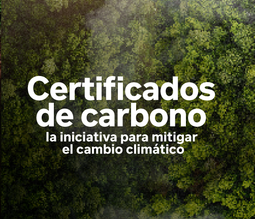 Certificados de carbono la iniciativa para mitigar el cambio climático