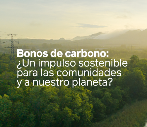Bonos de carbono ¿Un impulso sostenible para las comunidades y a nuestro planeta?