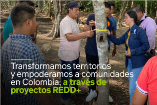 Transformamos territorios y empoderamos comunidades en Colombia, a través de proyectos REDD+