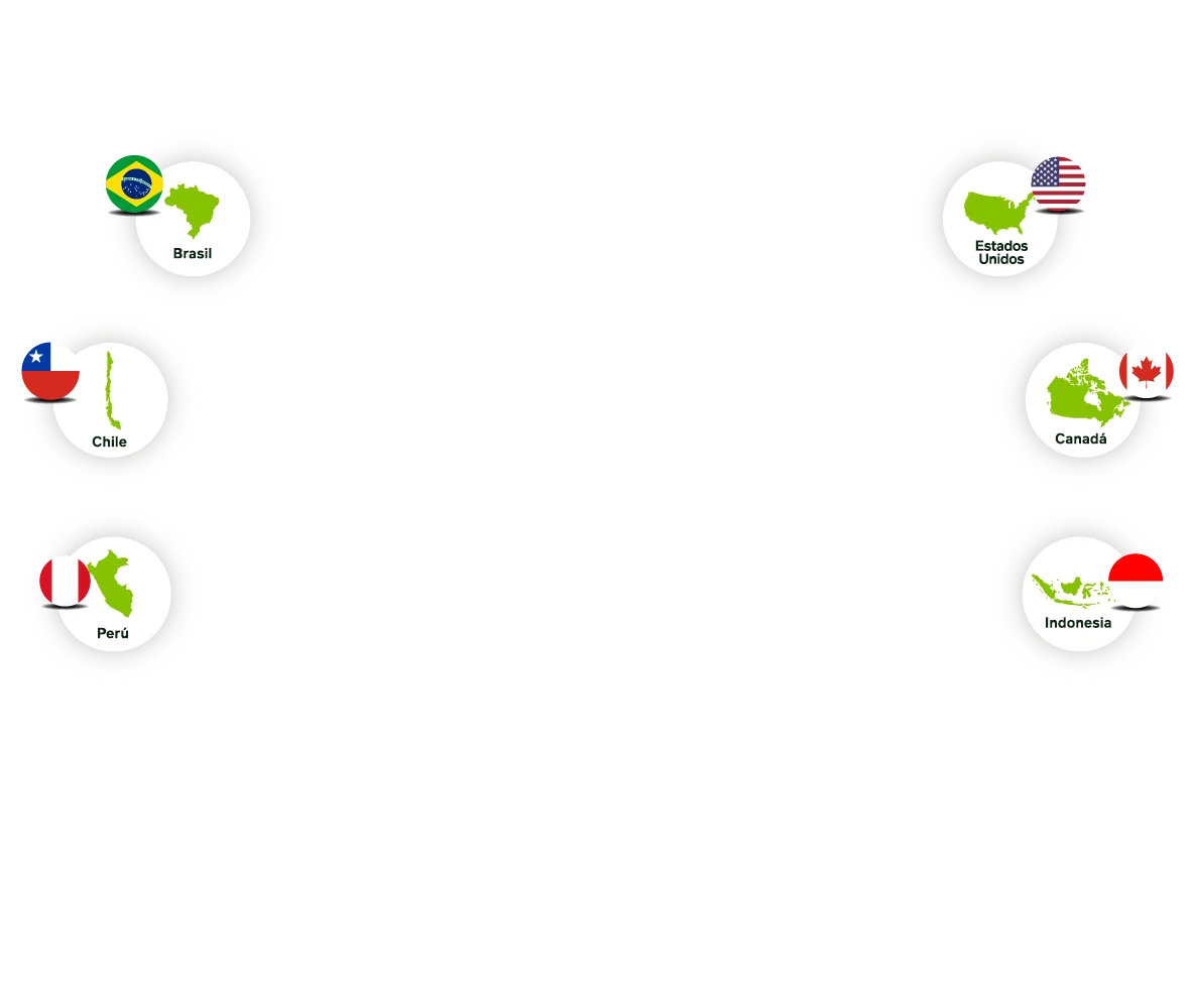 Iconos